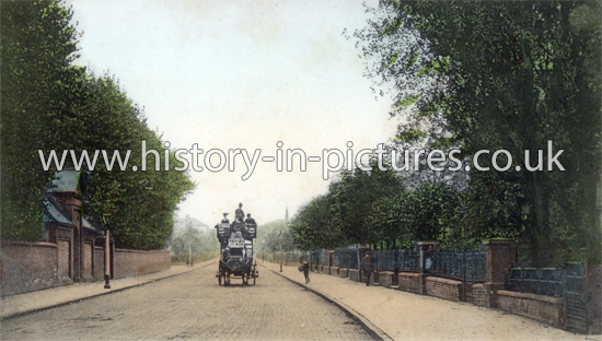 Manor Road, Stoke Newington, London. c.1907